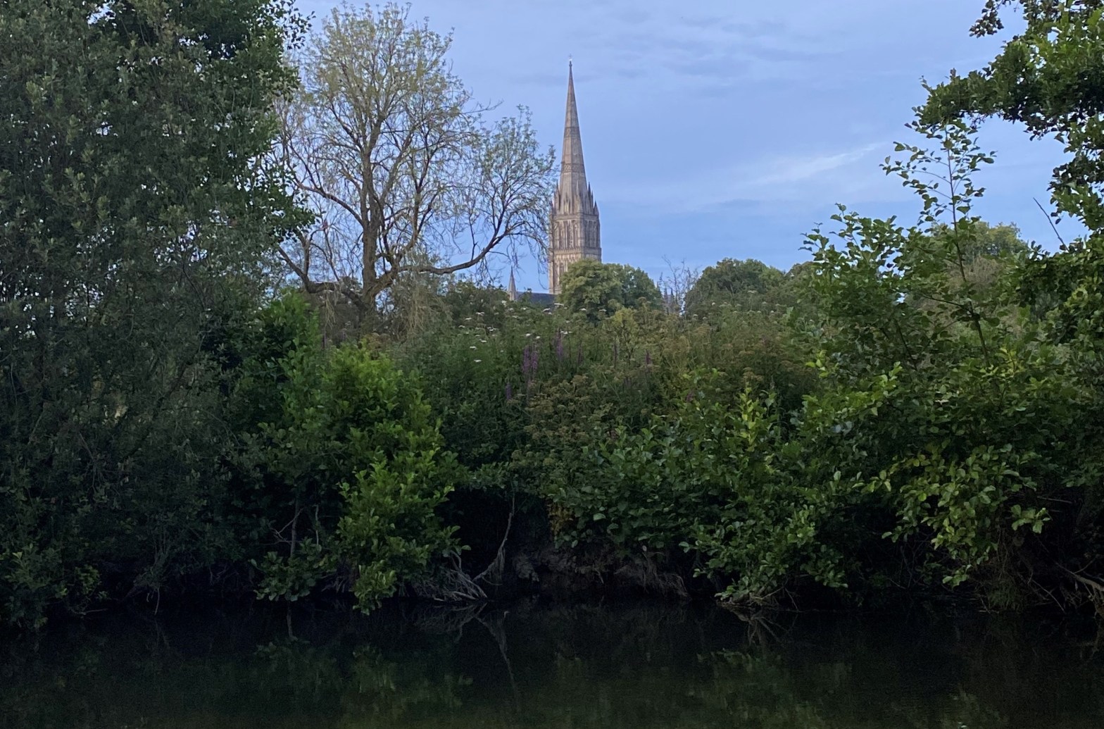 Salisbury Cathedral across the water meadows