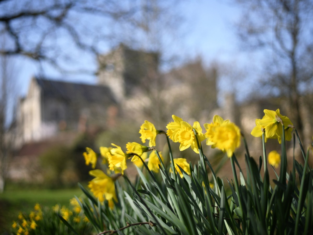 Celebrating International Women’s&nbsp;Day